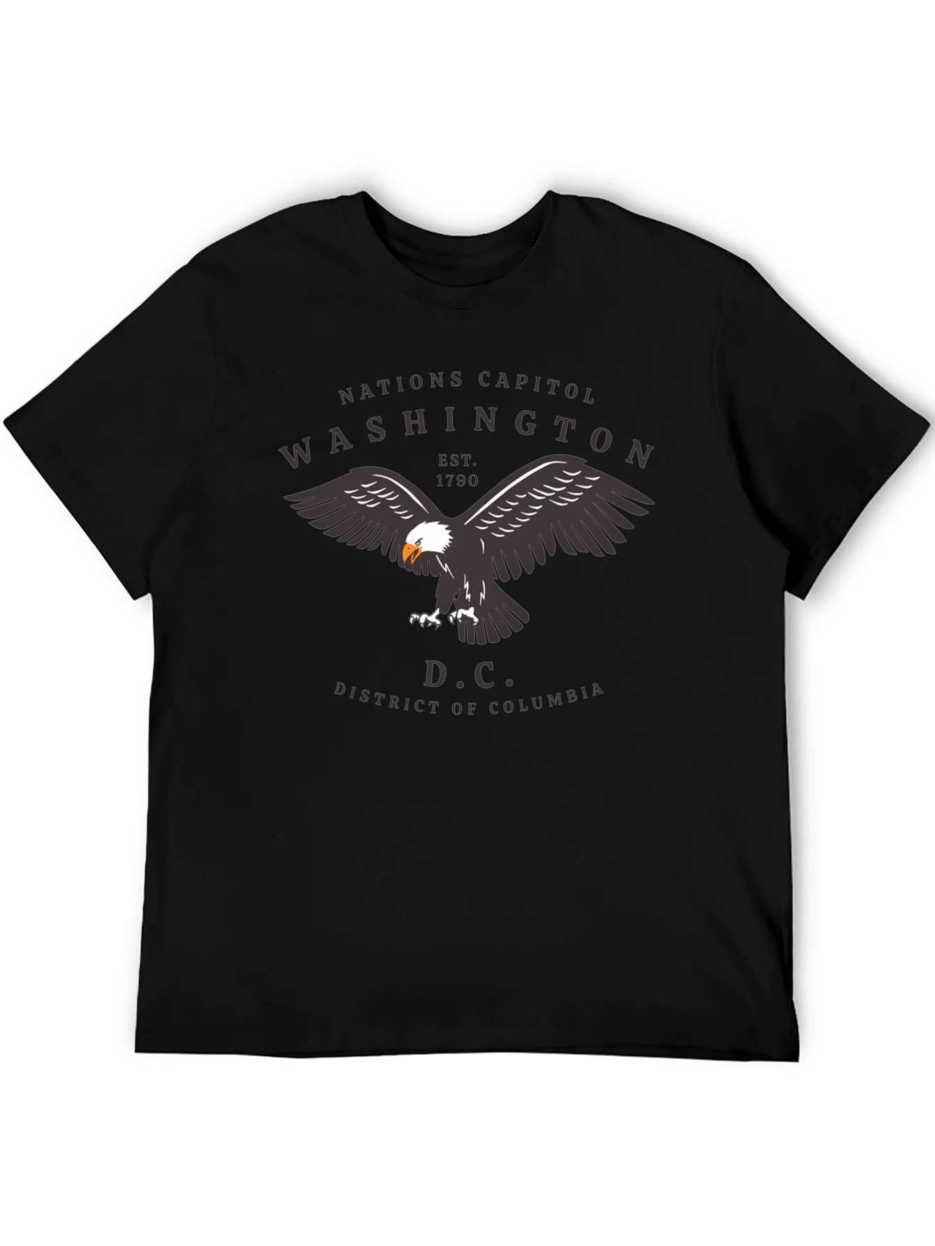 Washington D.C. Eagle Graphic T-Shirt