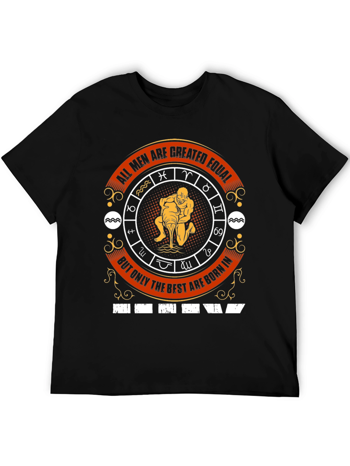 Aquarius Zodiac Birthday T-Shirt