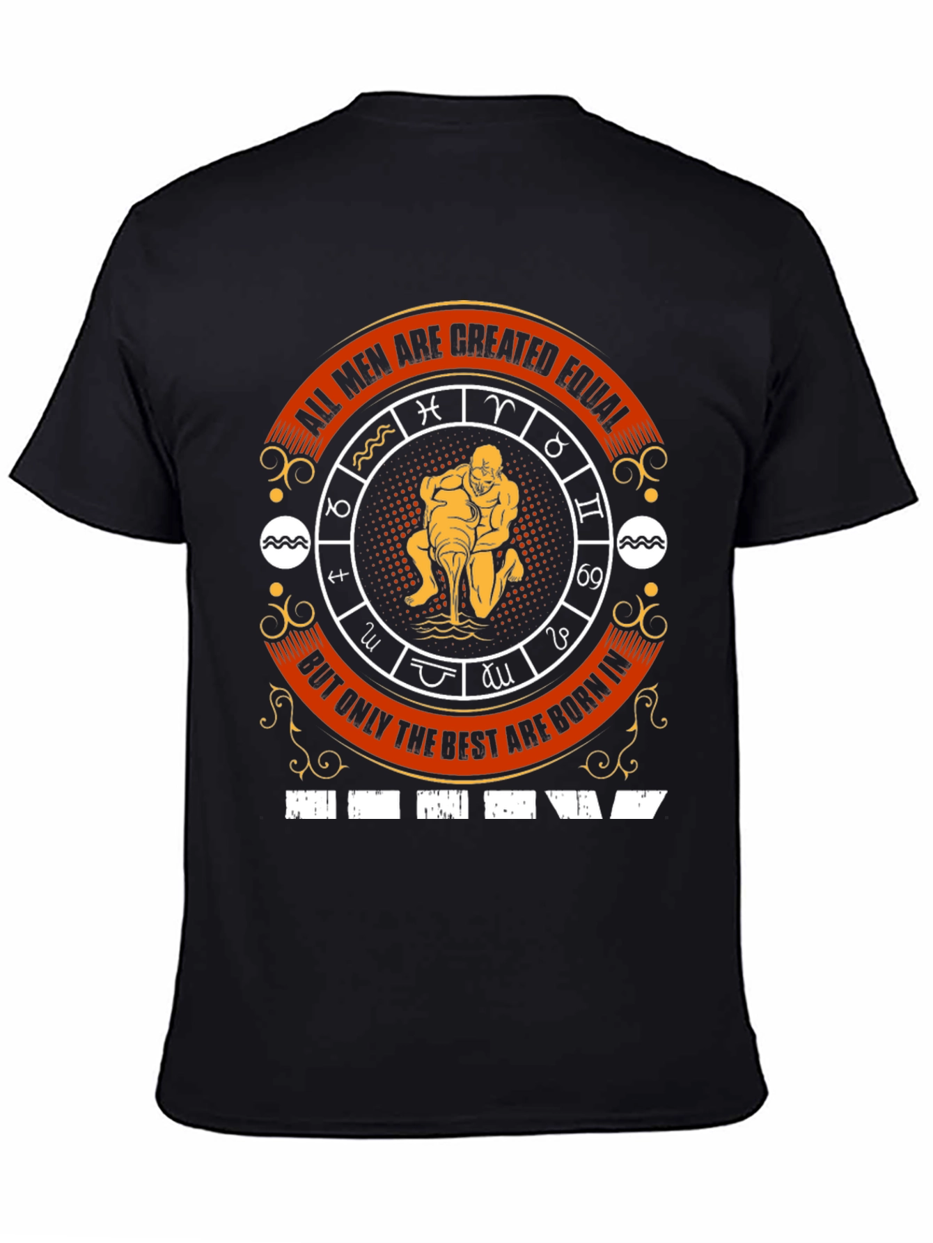Aquarius Zodiac Birthday T-Shirt